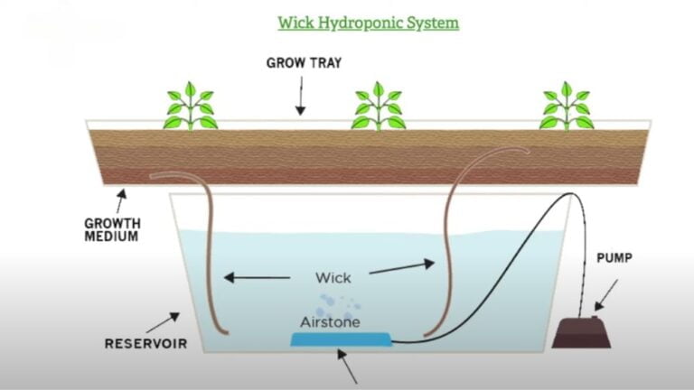 Hydroponic Wick Systems: The Training Wheels Of The Hydroponic